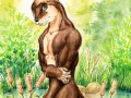 coyottercol.jpg